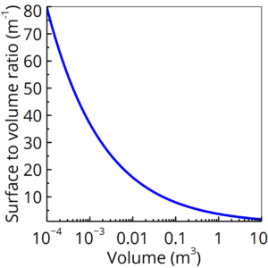 Change in the surface to volume ratio with the batch reactor scale